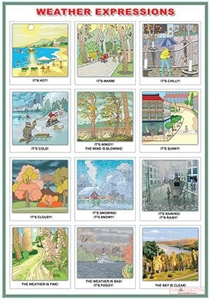 Materiale Didactice si Jocuri Prescolari - The four seasons/Weather expressions (DUO)