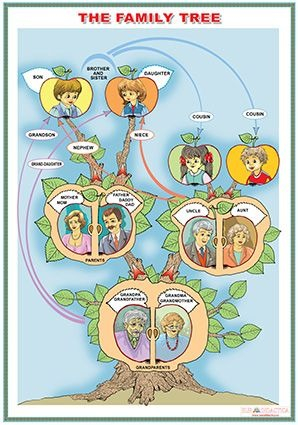 The human body/The family tree (DUO) [1]