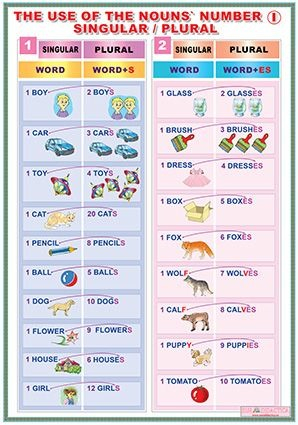 Planse tematice la limba engleza - The use of a nouns'number singular-plural I /The use of a nouns'number singular-plural II (DUO)