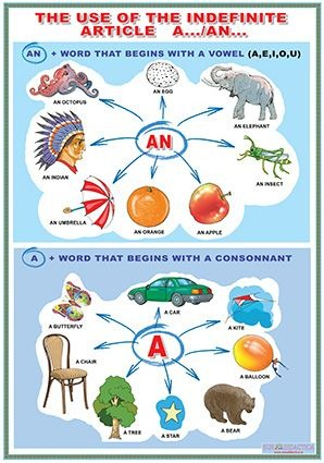 Materiale Didactice - The use of indefinite article/ Accessories (DUO)