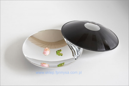 Optica - Un dispozitiv pentru observarea imaginii reale într-o oglindă concavă