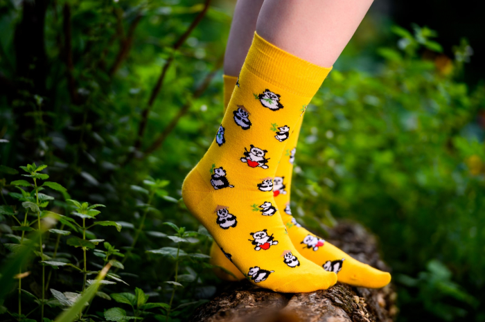 Sosete vesele cu ursi panda [2]