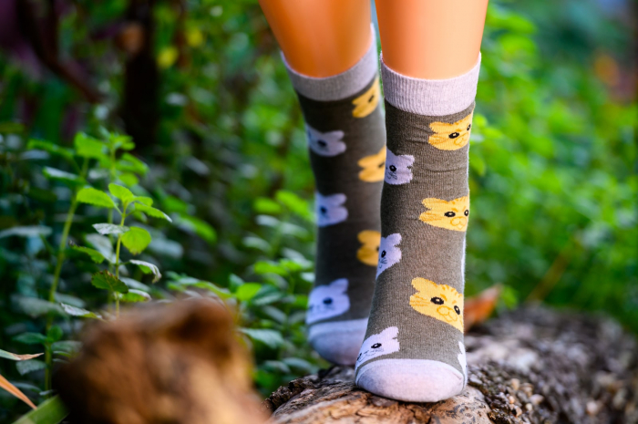 Sosete colorate cu fete de pisica [3]