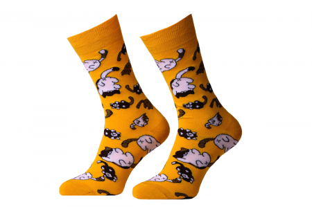 Sosete colorate - Sosete colorate cu pisici jucause