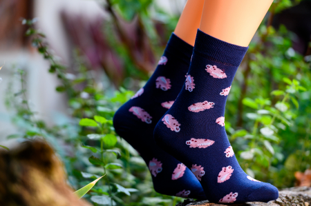 Sosete colorate lungi - Sosete colorate porcusori