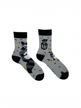 Sosete colorate lungi - Sosete Racoontastic