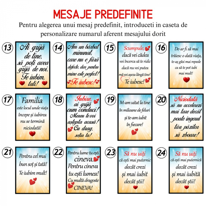 Breloc FORD personalizat cu numarul masinii [4]