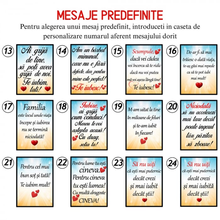 Breloc Numar de Inmatriculare Personalizat cu Marca si Numarul Masinii [4]