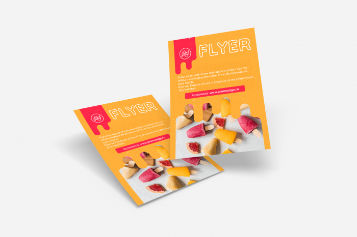 Flyer [2]