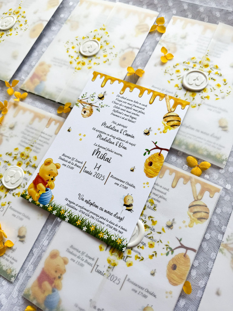 Invitatie Winnie the Pooh [3]
