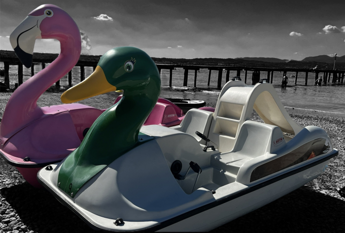 Hidrobiciclete 4 persoane fibra de sticla Duck Ratusca  Martini Nautiche Costruzioni [7]
