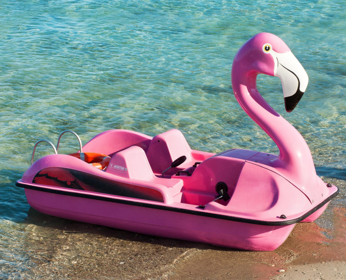 Hidrobicileta Flamingo de 4 persoane [8]