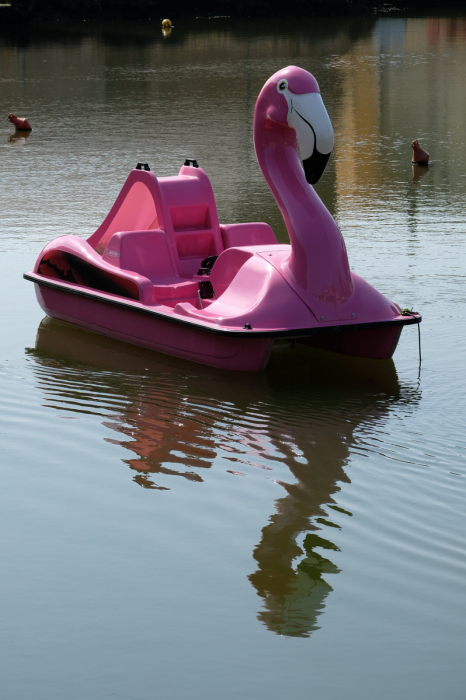 Hidrobicileta Flamingo de 4 persoane [5]