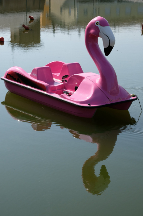 Hidrobicileta Flamingo de 4 persoane [3]