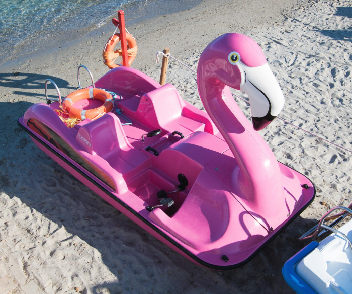 Hidrobicileta Flamingo de 4 persoane [10]