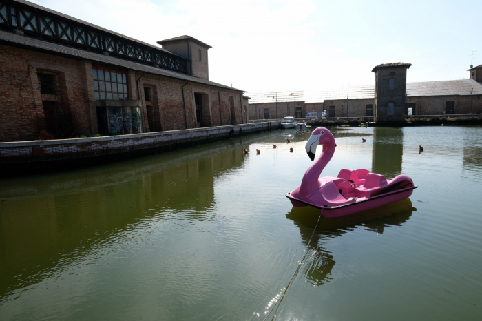Hidrobicileta Flamingo de 4 persoane [4]