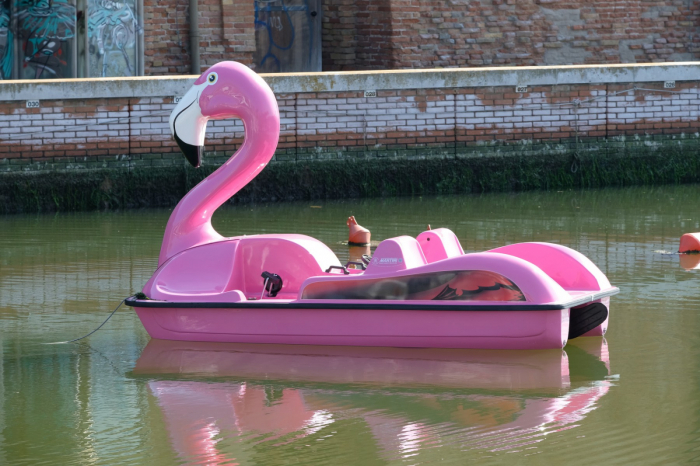 Hidrobicileta Flamingo de 4 persoane [2]