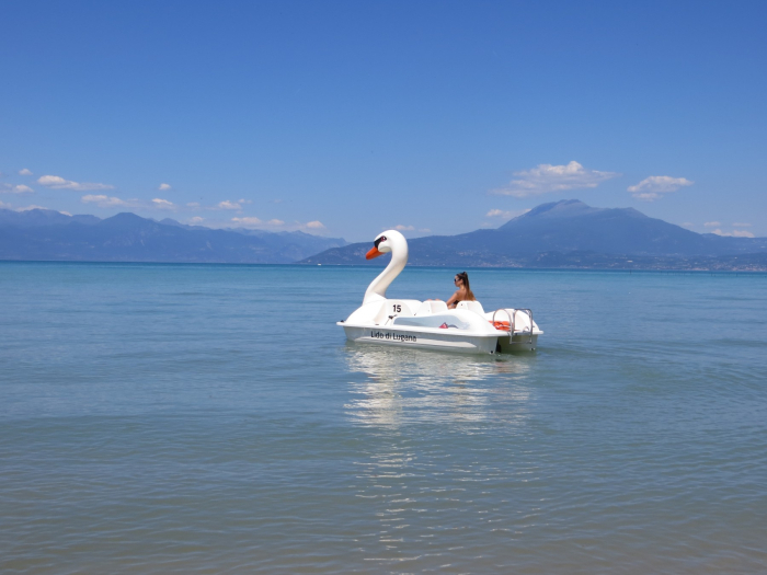 Hidrobiciclete lebada - Swan [4]