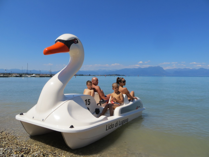 Hidrobiciclete lebada - Swan [5]