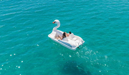 Hidrobiciclete lebada - Swan [6]
