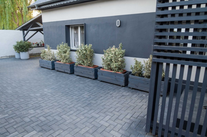 Pavaj rezidential Elis Pavaje, Dreptunghi D1, antracit, 200 x 100 x 40 mm [3]