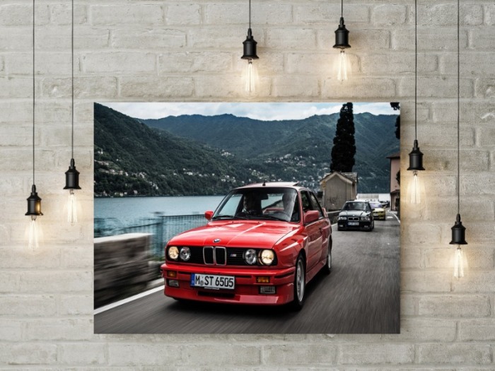 Tablou Canvas BMW Evolution [3]