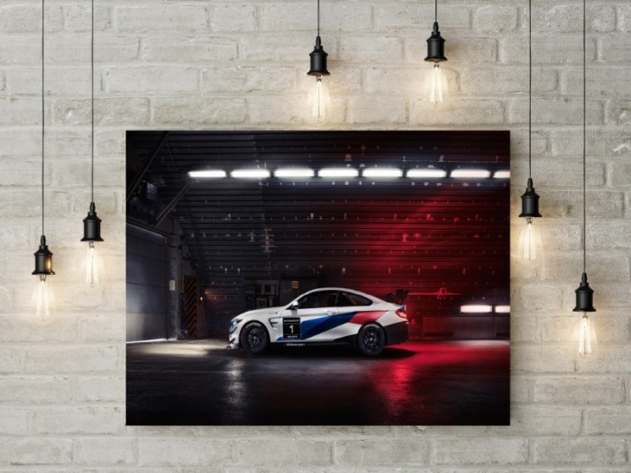 Tablou Canvas BMW Racing [2]