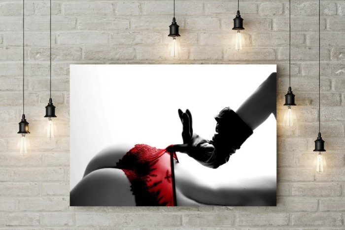 Tablou canvas Red Panties [2]