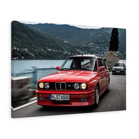 Tablou Canvas BMW Evolution Tablouri Masini - Tablou Canvas BMW Evolution