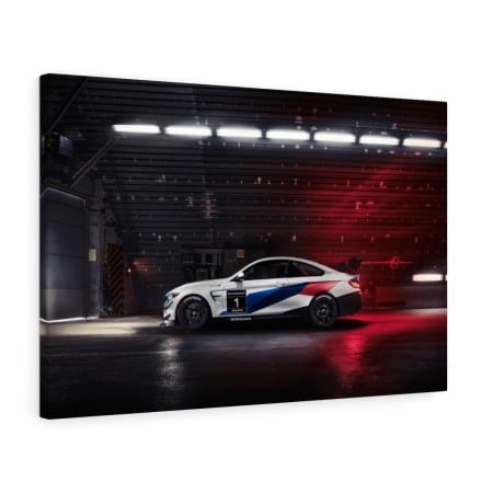 Tablou Canvas BMW Racing Tablouri Masini - Tablou Canvas BMW Racing
