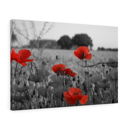 Tablou canvas Gray Poppy Tablouri Canvas - Tablou canvas Gray Poppy