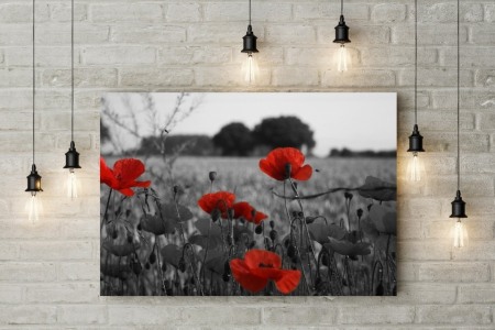 Tablou canvas Gray Poppy [1]