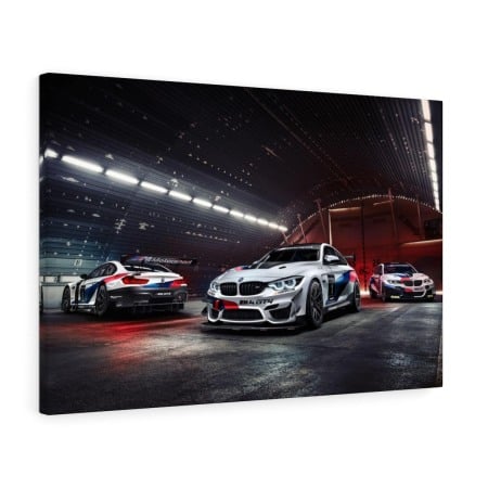 Tablou Canvas Racing BMW Tablouri Masini - Tablou Canvas Racing BMW
