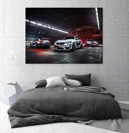 Tablou Canvas Racing BMW [1]