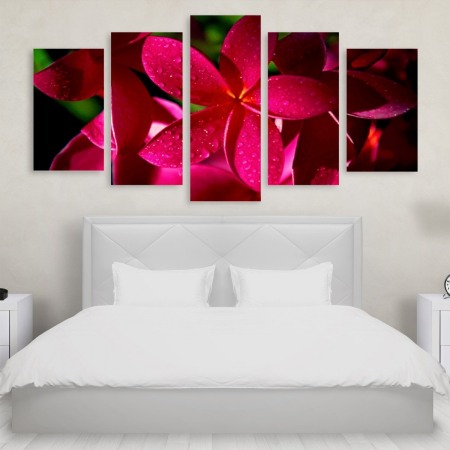 Tablou Multicanvas 5 Pink Flowers Tablouri Multicanvas - Tablou Multicanvas 5 Pink Flowers