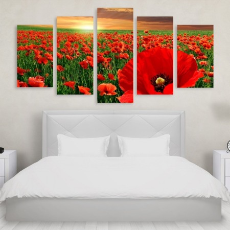 Tablou Multicanvas 5 Poppy Field Tablouri Multicanvas - Tablou Multicanvas 5 Poppy Field