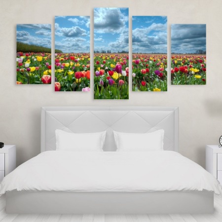 Tablou Multicanvas 5 Tulips Field Tablouri Multicanvas - Tablou Multicanvas 5 Tulips Field