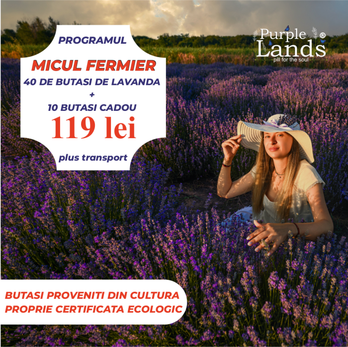 butasi-lavanda-bio.jpg [6]