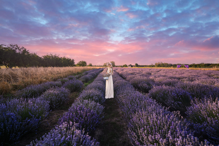 butasi-lavanda-bio.jpg [5]
