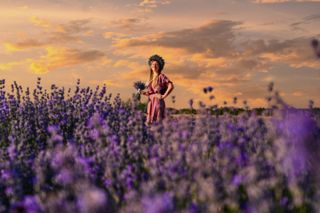 butasi-lavanda-bio.jpg [4]