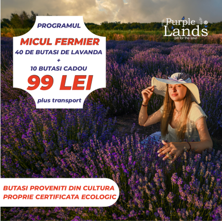 BUTASI - butasi-lavanda-bio.jpg