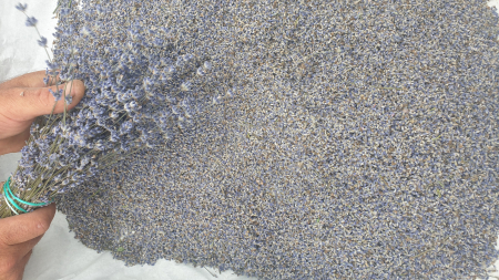 Floare de Lavanda Vrac [1]