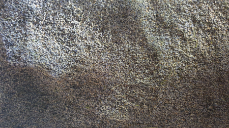 Floare de Lavanda Vrac [2]