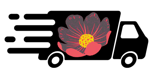 Transport GRATUIT