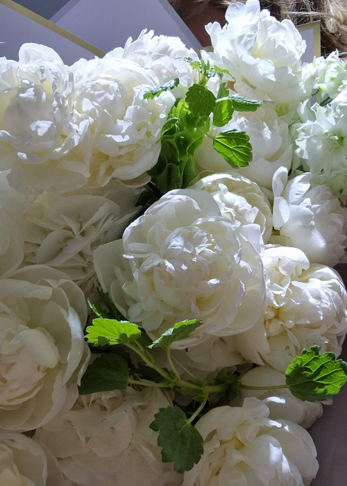 Buchet clasic si rafinat din bujori albi si delphinium alb [3]