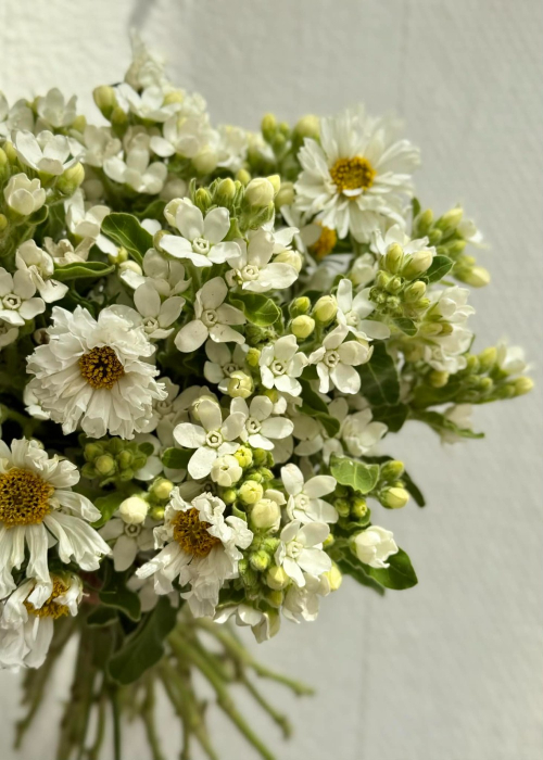 Buchet de mireasa din flori Cosmos si oxypetalum [7]