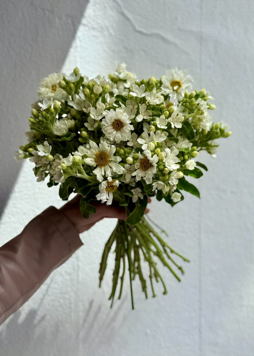 Buchet de mireasa din flori Cosmos si oxypetalum [8]
