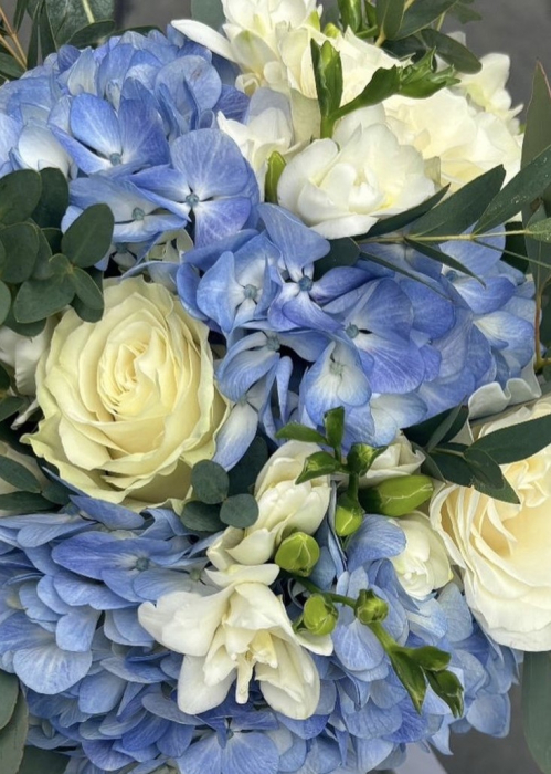 Buchet de mireasa din trandafiri albi si hortensie albastra [2]