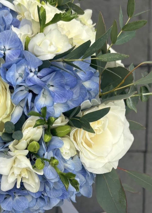 Buchet de mireasa din trandafiri albi si hortensie albastra [3]