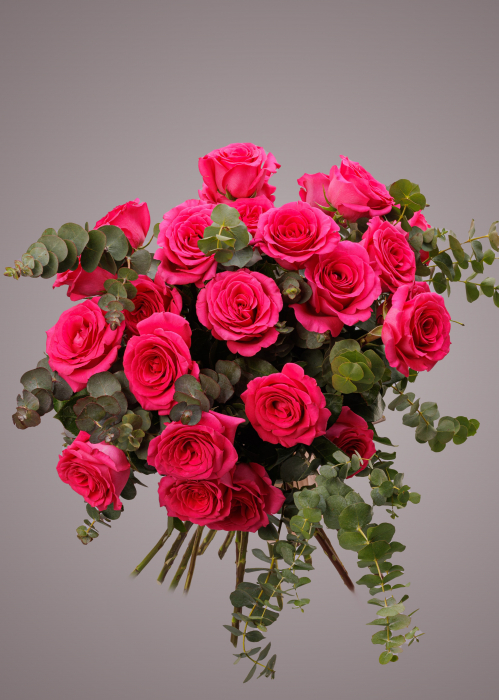 Buchet de trandafiri magenta cu eucalipt [1]